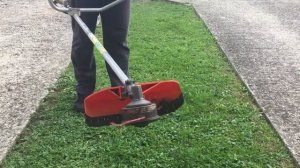 Stihl FS 55 C