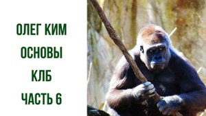 Олег Ким основы личной безопасности часть 6