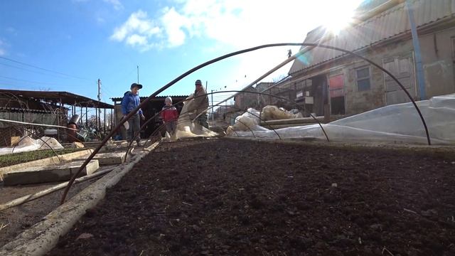 Полив рассады Ялтинского лука. Выращивание лука из чернушки.Сезон 2020 смотреть онлайн