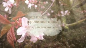 Как красиво и романтично попросить прощения у любимой жены после ссоры