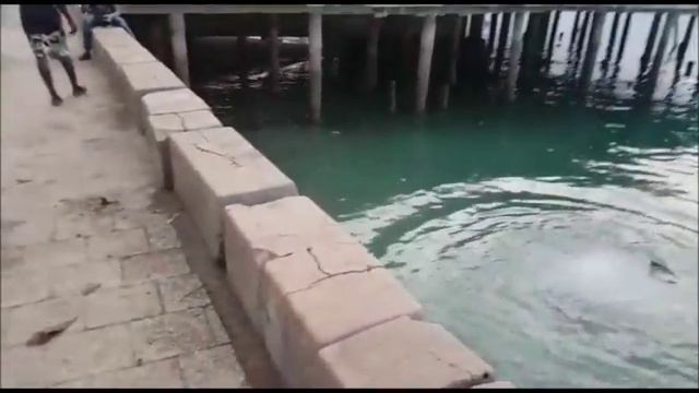 Русские в Африке.Отдых в Занзибаре.Танзания.