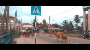 Kovils in Chilaw - Sri Lanka (FHD)