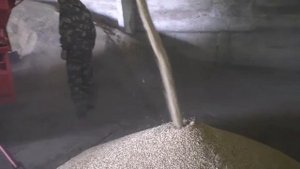 Очистка ячменя на новой ОВС-25 с закрытой системой аспирации!