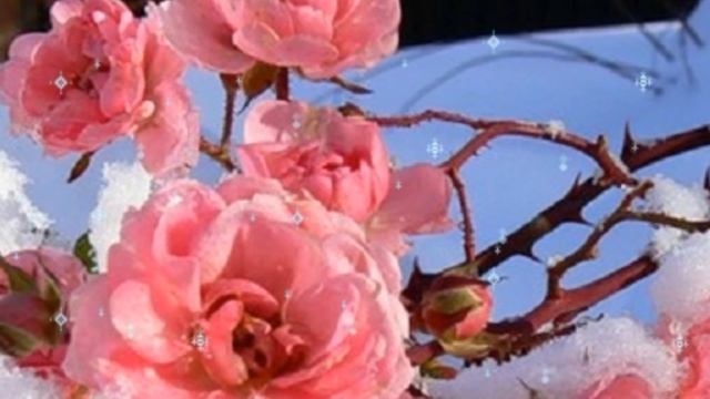 "...А СНЕГ ИДЁТ..." смотреть онлайн