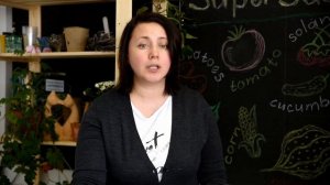 Болезни и вредители смородины и крыжовника