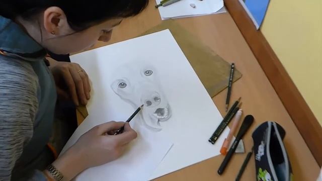 Анималистика. Рисуем животных. Изостудия "Зеркало".