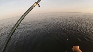 Сарган,ставрида,луфарь ловля с лодки/fishing in the Black sea.