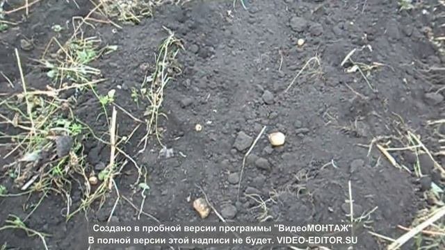 Картофелекопалка 