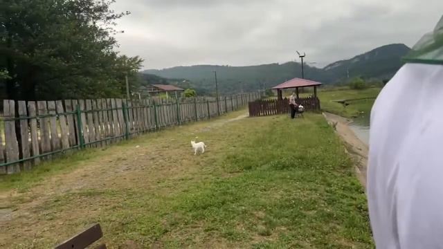 Строго делает вид, что ШАРИТ ЗА РЫБАЛКУ смотреть онлайн