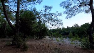 НА ВЕЛОСИПЕДЕ ПО ТУРЦИИ. БЕЛЬДИБИ.жизнь в Турции. велопутешествие