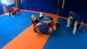 Combat Sambo Training