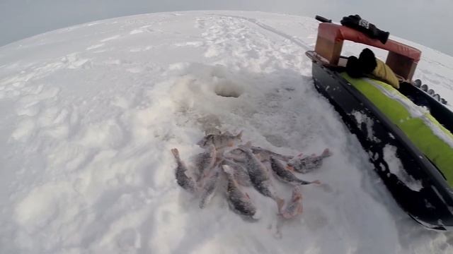 Рыбалка на рыбинке 23-25 февраля 2018г. смотреть онлайн