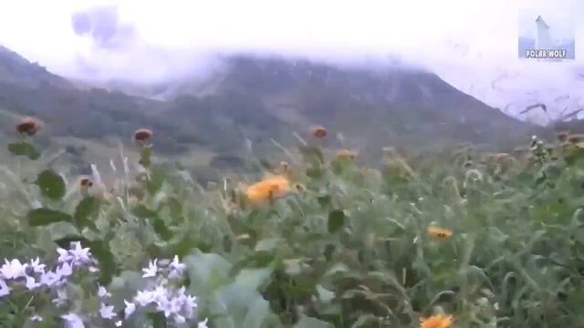 ЛУННЫЙ КАЛЕНДАРЬ НА 13 МАРТА 2022 ГОДА. ОБЩИЕ РЕКОМЕНДАЦИИ ДЛЯ ВСЕХ ЗНАКОВ ЗОДИАКА смотреть онлайн