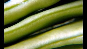 Кухонная химия 1 серия. Хестон Блюменталь