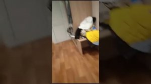 В базе отдыха Карбышева безобразный отдых!!!