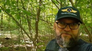 Коп в лесу - серебро копаю с XP ORX коп в лесу 2020