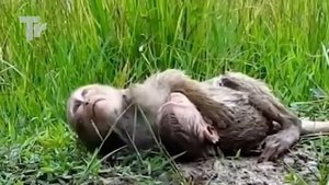 He Chose to Die but Not Leave Mom