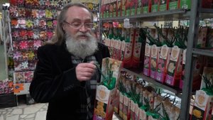 САЖЕНЦЫ РОЗ. КАК ВЫБРАТЬ И СОХРАНИТЬ ДО ВЕСНЫ