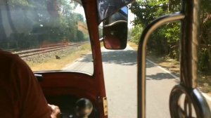 Шри-Ланка в январе. 1 часть.