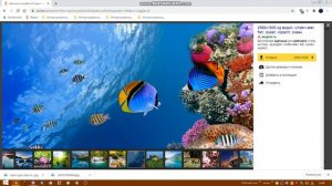 Как поставить картинку на рабочий экран компьютера.