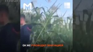 Самолёт "Уральских авиалиний" совершил вынужденную посадку на кукурузное поле.