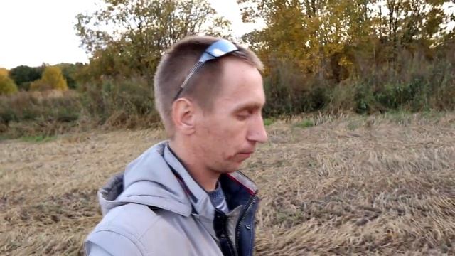 День работника сельского хозяйства смотреть онлайн