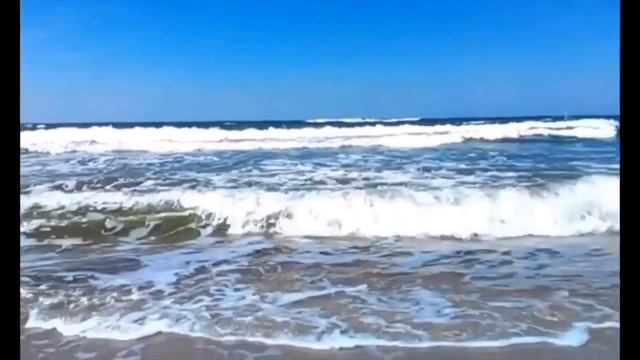 Обитатели Балтийского моря смотреть онлайн