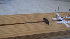 Как правильно сушить бабочек