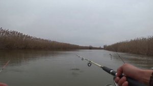 Рыбалка в низах Астрахани.  Село Гандурино 16.11.19.
