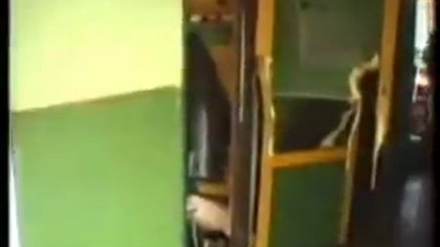 Беспредел ментов в зоне г. Екатеринбург смотреть онлайн