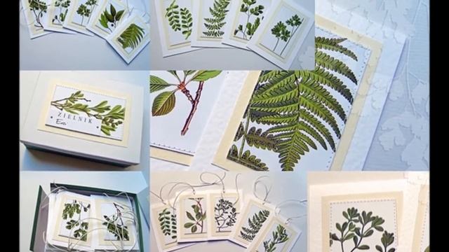 Гербарий смотреть онлайн