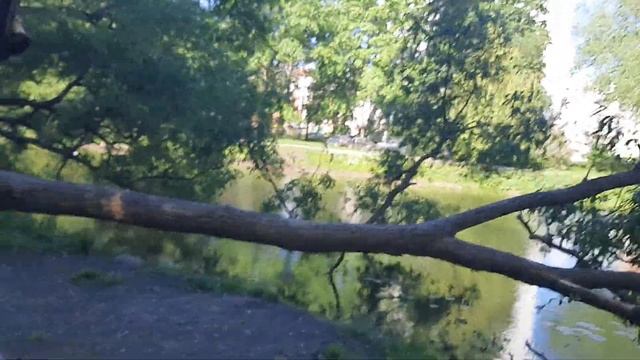 Воронцовские пруды.