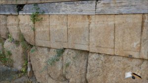 Заповедник Тель Дан