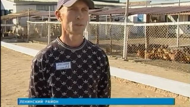 Животноводство в Ленинской ИК смотреть онлайн