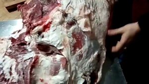 Обвалка говядины задок