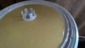 Домашняя пастила в сушилке Волтера-1000