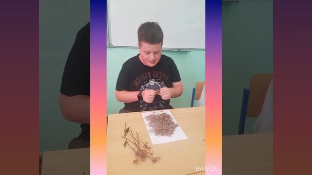 день рождения Максима смотреть онлайн