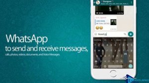 В WhatsApp изменились настройки приватности