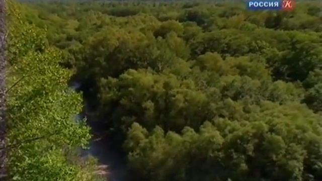Земля Владимира Арсеньева - Дальний Восток - Письма из провинции