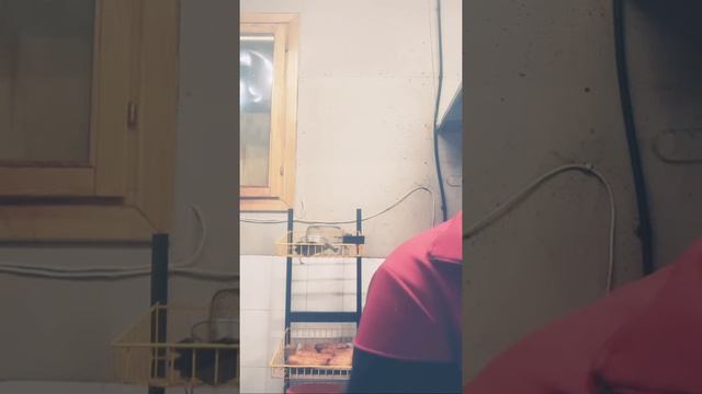 САЛОМ АЛЕКУМ СРОЧНА ПАСПОРТ ЁФТЕМ ДА ВОРОНОВА смотреть онлайн