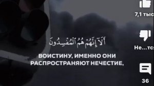Красивое чтение Корана Чтец:Билал Дарбали,сура Аль-Бакара,аяты:10-13#guran