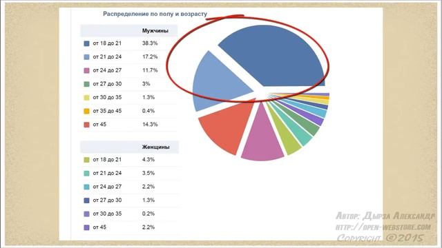 13. Ядро аудитории (Мощный поток клиентов из ВК. Таргетированная реклама от А до Я)