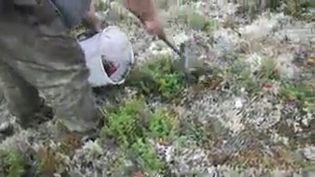 989f515465 240 смотреть онлайн