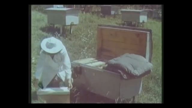 Пчеловодство,Современные методы содержания и разведения пчел смотреть онлайн