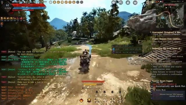BDO Calpheon Special Iron Ingots