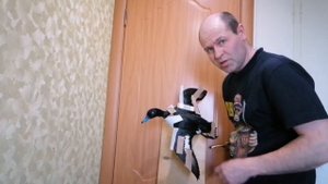 Чучело утки "хохлатая чернеть"