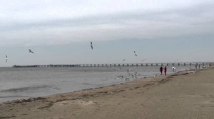 Анапа 28.09.14 г.