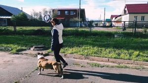 Стафф это порода для души