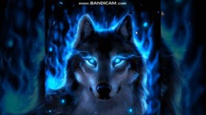 волк крутая музыка