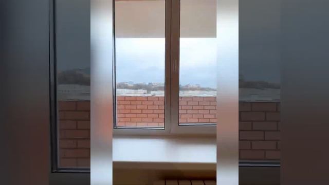 Обзор трёхкомнатной квартиры г. Смоленск ул. Светлая д.4 смотреть онлайн